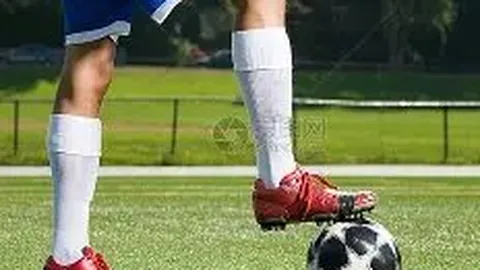 揭秘昨日7胜5平惊人数据背后的神秘线索！