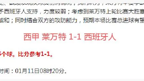 阿根廷总统乘坐梅西专属飞机访问引发国内广泛讨论